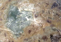 Feist Agate