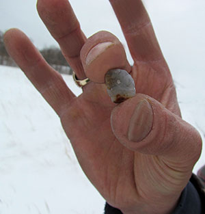 Winter Agate
