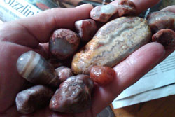 Rhonda Riebow's Agates