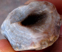 Shea Cullum's Agate