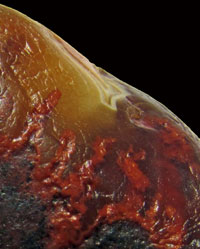 Brian Agate