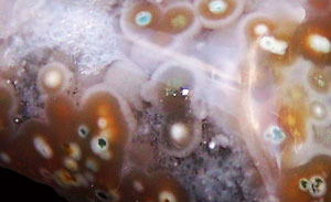 David's Agate