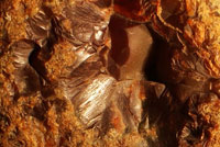 Toni's Agate