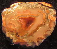 Chris Cooper's Agate