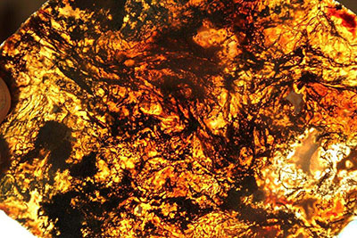 Larry's Moss Agate