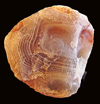 Patty's Agate