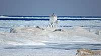 Grand Marais Scene