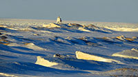 Grand Marais Scene