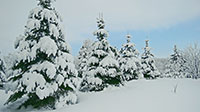 Grand Marais Scene
