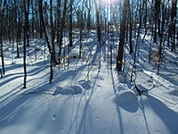 Grand Marais Scene
