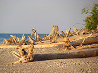 Grand Marais Scene