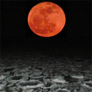 Moon