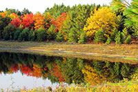 Fall colors in Grand Marais