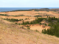 Dunes view from high point