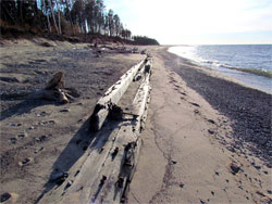 Shripwreck